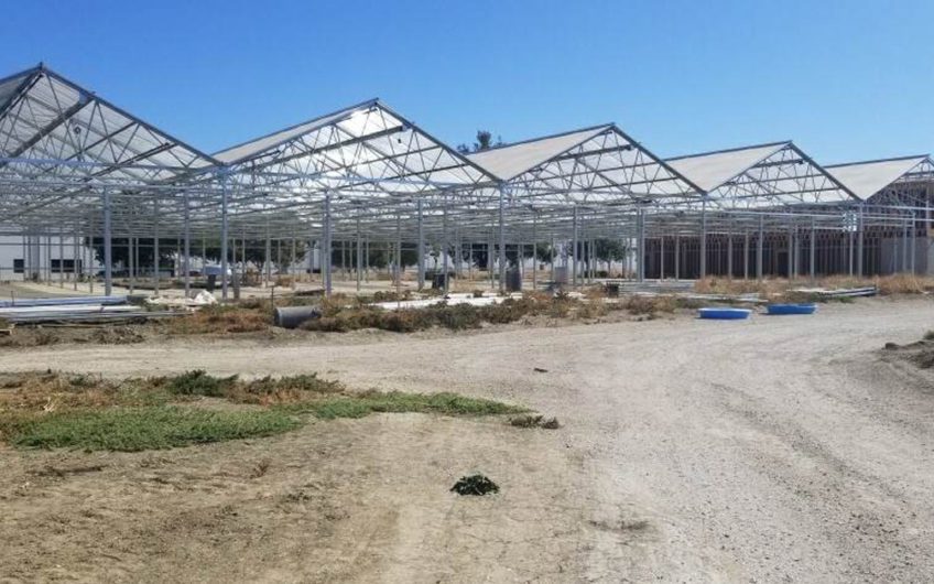 Sold – King City – 82,000 sf Cultivation, Type 7 Manufacturing, and Distribution Opportunity
