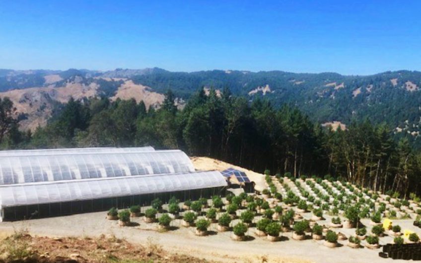 40 Acre Licensed Cultivation Land in Humboldt County – an Improved & Engineered Site