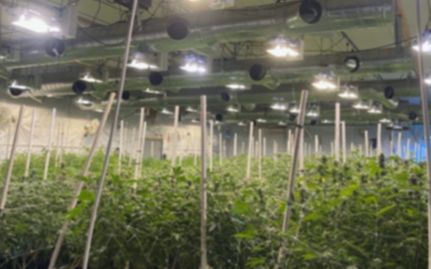 8,000 SF Distribution and Cultivation Licensed Business in Los Angeles