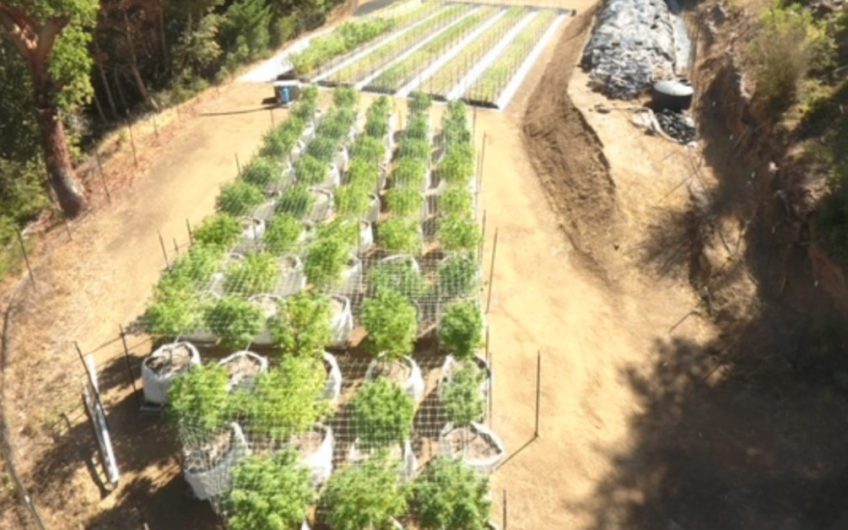 10,000 SF Cannabis Canopy in 20 AC Emerald Triangle Farm, with Cultivation License in Humboldt County