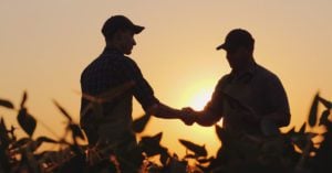 Cannabis Crop Insurance: Tales of Gratitude or Regret