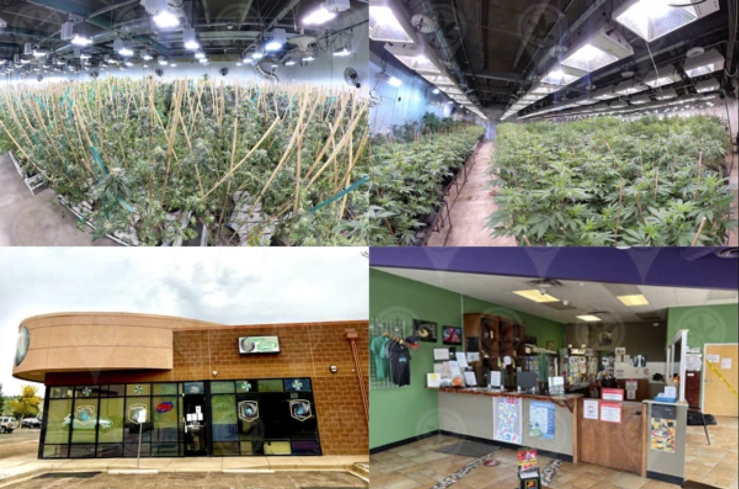 Off Market – Fully Turnkey Cultivation and Retail Business with over $2.1M Revenue