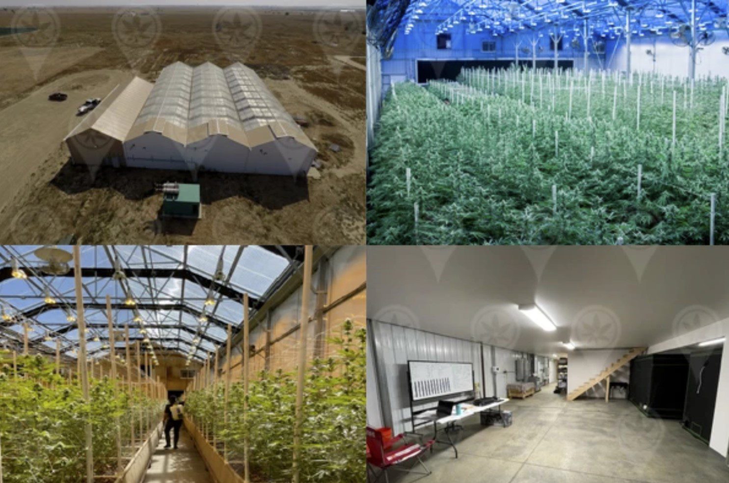 Off Market – Colorado 13,000 Sqft Cultivation Business Opportunity
