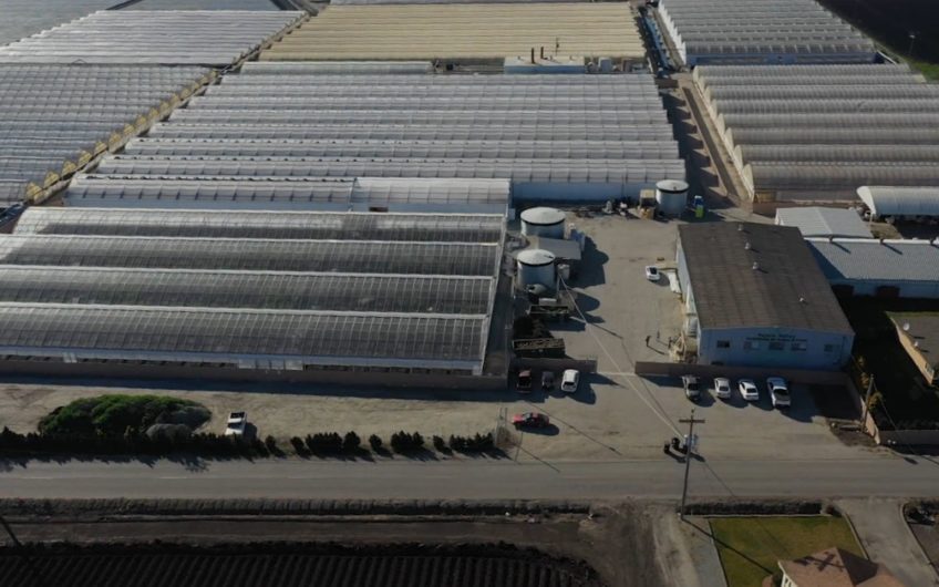 292,478 SF Greenhouse In Monterrey Bay, CA For Lease at $0.50/SF