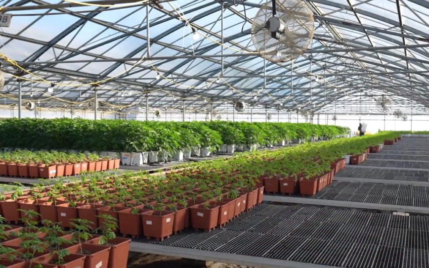 292,478 SF Greenhouse In Monterrey Bay, CA For Lease at $0.40/SF