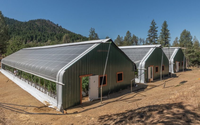 Turnkey Fully Vertical Business & Property in Trinity County