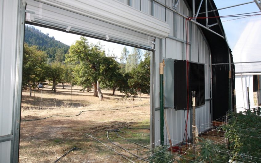 Turnkey Fully Vertical Business & Property in Trinity County