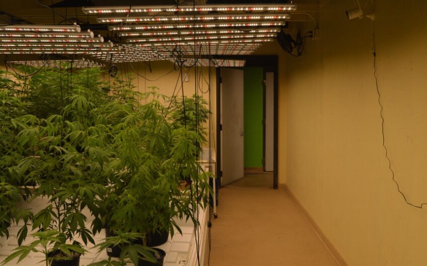 Turn-Key Cannabis Operation in Prime Location