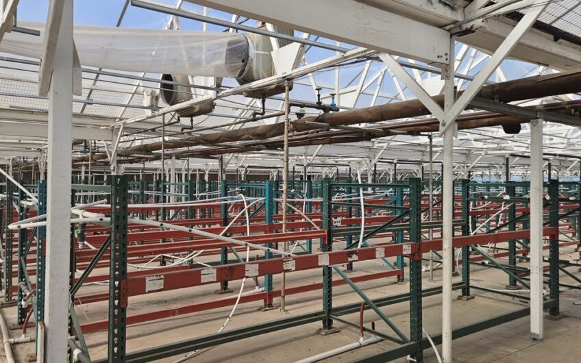 Over 400,000 Sqft of Operational Greenhouse in Salinas CA for Lease