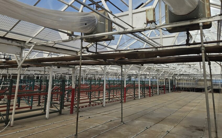 Over 400,000 Sqft of Operational Greenhouse in Salinas CA for Lease