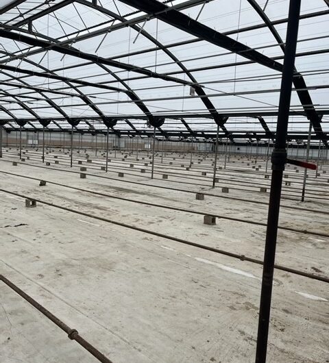 For Lease! Cannabis Greenhouse, Nursery, Cultivation & Processing Space