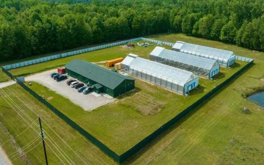 Operating Hybrid Green House Cultivation Facility in Vassar, MI