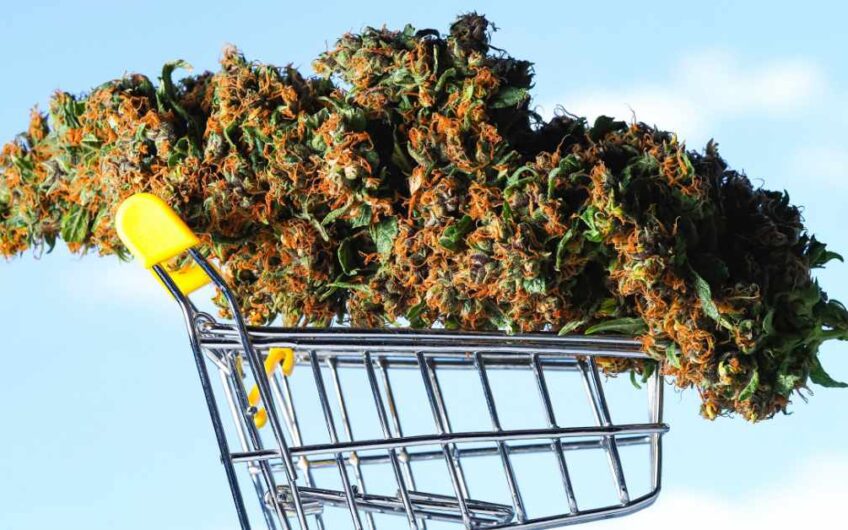 Pre-operational Dispensary License for Sale in Madera County