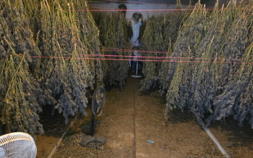 Humboldt Cultivation Turnkey Partial Investment In Meyers Flat, CA