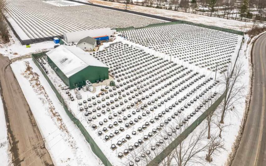 Chesaning – Operating Processing Facility/Outdoor Cultivation