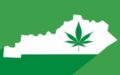 KENTUCKY MEDICAL CANNABIS DISPENSARY LICENSES