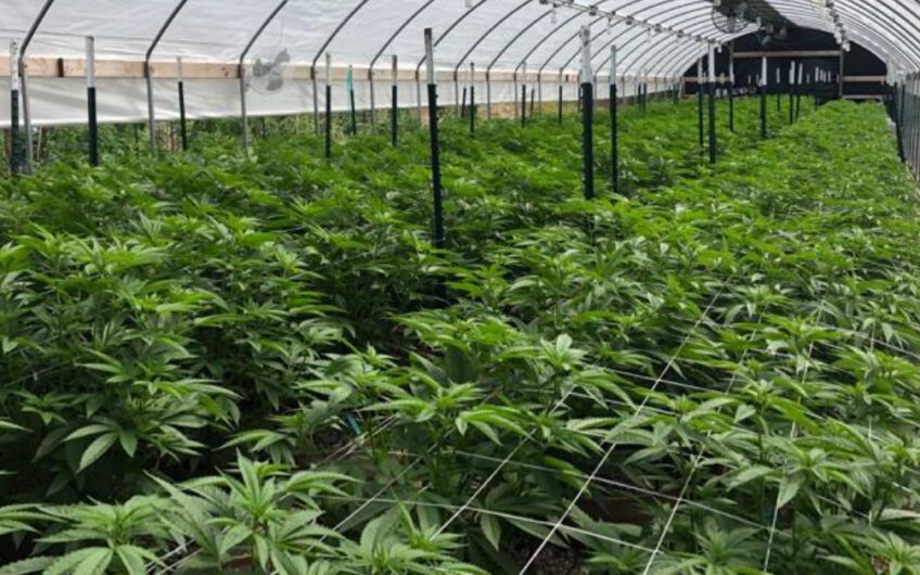Humboldt Cultivation Farm and Land for Lease w/Purchase Option