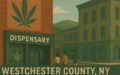 PRICE REDUCED - Operational Dispensary w/ Upside — Westchester County, NY