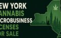 NEW YORK MICROBUSINESS LICENSE (SEE)