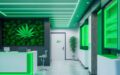 MINNESOTA - CANNABIS RETAIL LICENSE