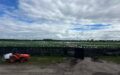 TURNER - FORMER OPERATING OUTDOOR CULTIVATION