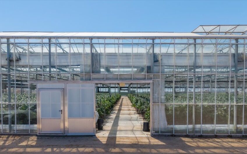Cannabis Cultivation Processing & Distribution Center