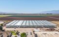 Cannabis Cultivation Processing & Distribution Center