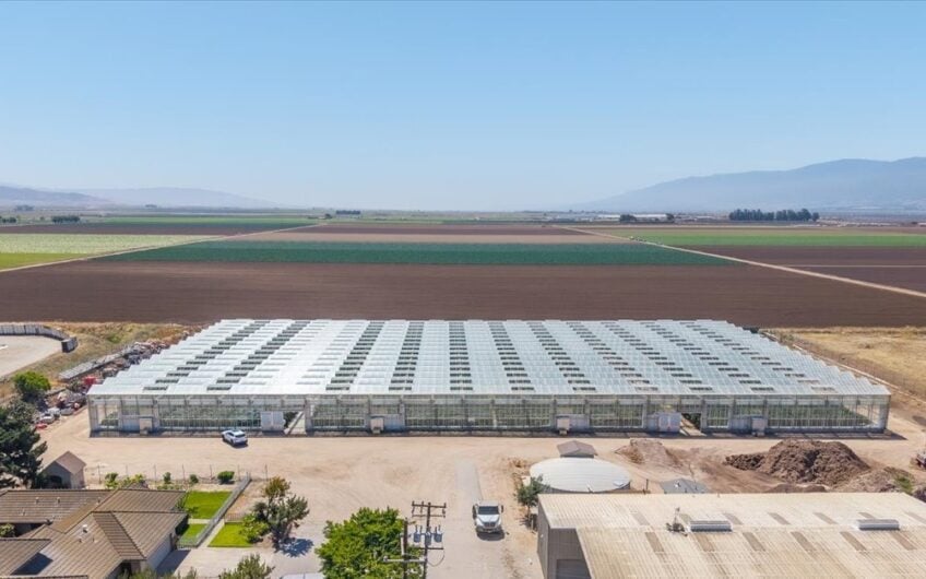 Cannabis Cultivation Processing & Distribution Center